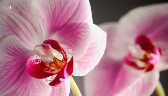 三星|SAMSUNG三星LSP9T评测：高端全色激光超短焦投影机