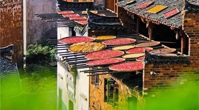 草原|10月最适合旅行的地方丨全国上下已开启色彩斑斓的模式
