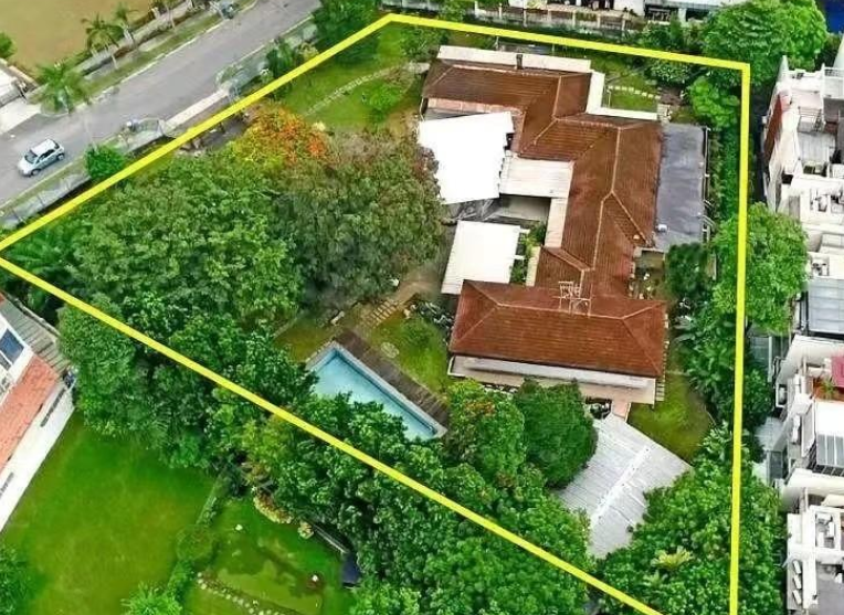 |杨寅：为照顾82岁外国富婆远赴新加坡，后来怎样了？