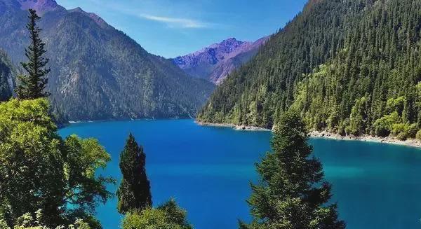 |为什么现在大家不去九寨沟？