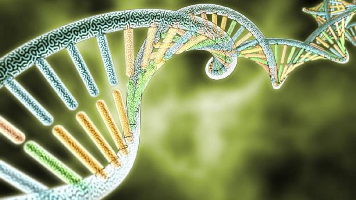 自动化|物联网系统之间的协调与合作，是构建“更智能”的物联网服务的关键