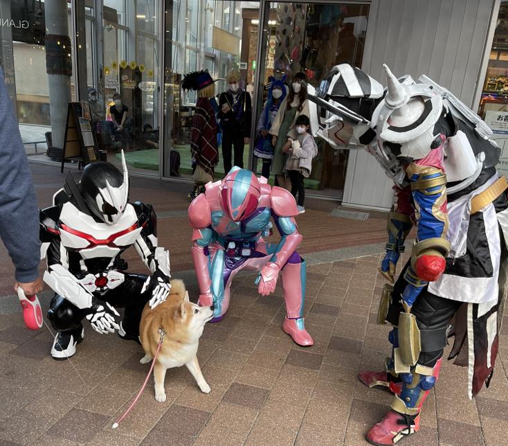 海賊王|超有愛的假面騎士cos漫展場照：超萌柴犬專治各種惡人反派騎士