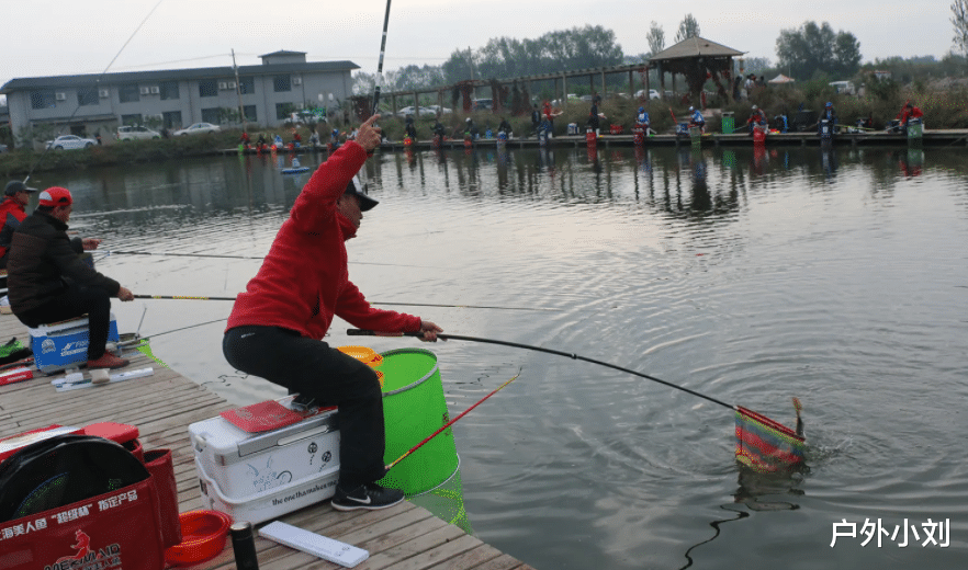 饵料|夏季高温如何钓混养塘?全程打浮,教你盘哭黑坑老板!