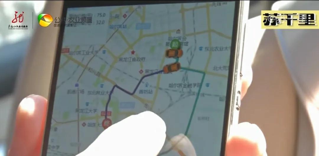 狠人司机:被乘客殴打,反而笑脸相迎,笑到最后的才是真英雄