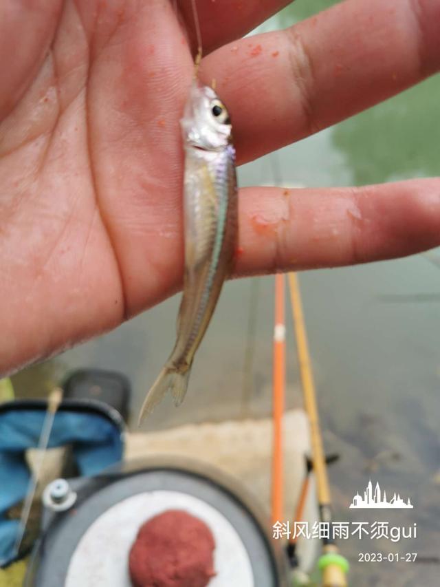 |北风呼啸寒风凛冽,通杀腥助我通杀小杂鱼