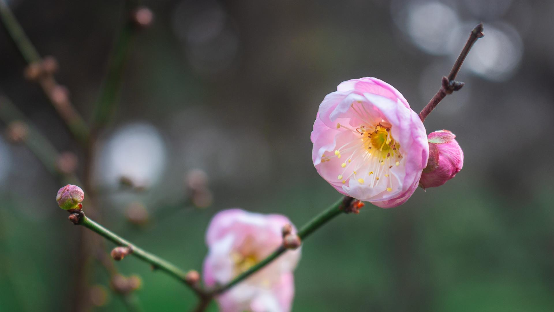 |会说话和不会说话的人，40岁的生活有多不一样？