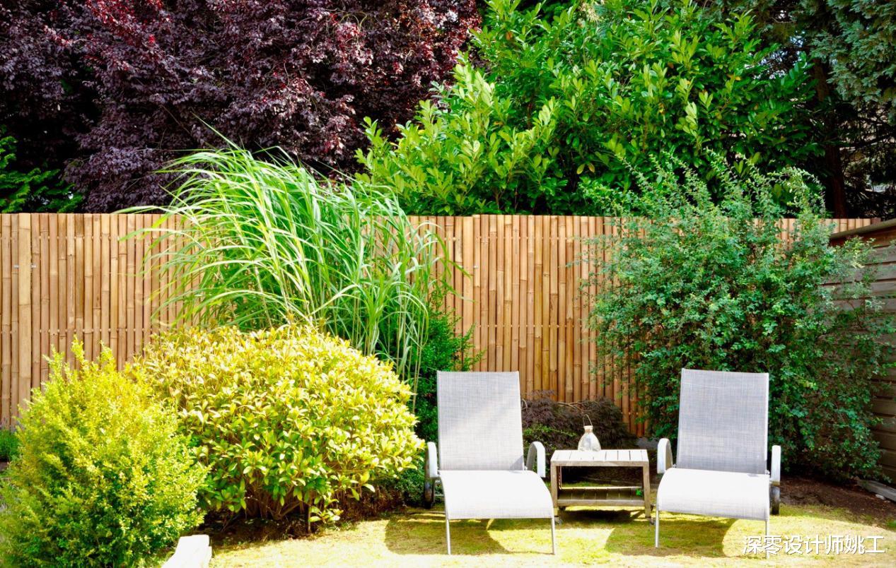 咱大中国的竹子就是招人稀罕!种一排形成院墙做隔断,打造古香古韵空间