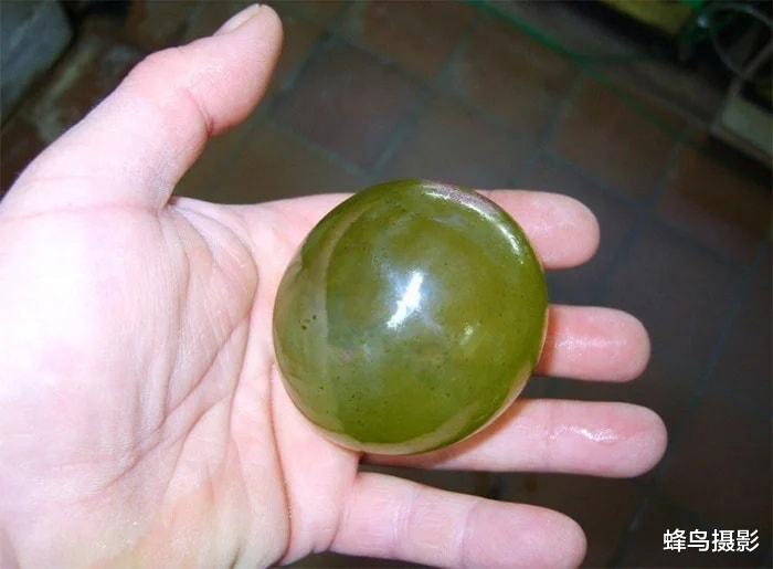 32张活久未见的照片,1200万年前的螳螂,15米长的泰坦巨蟒