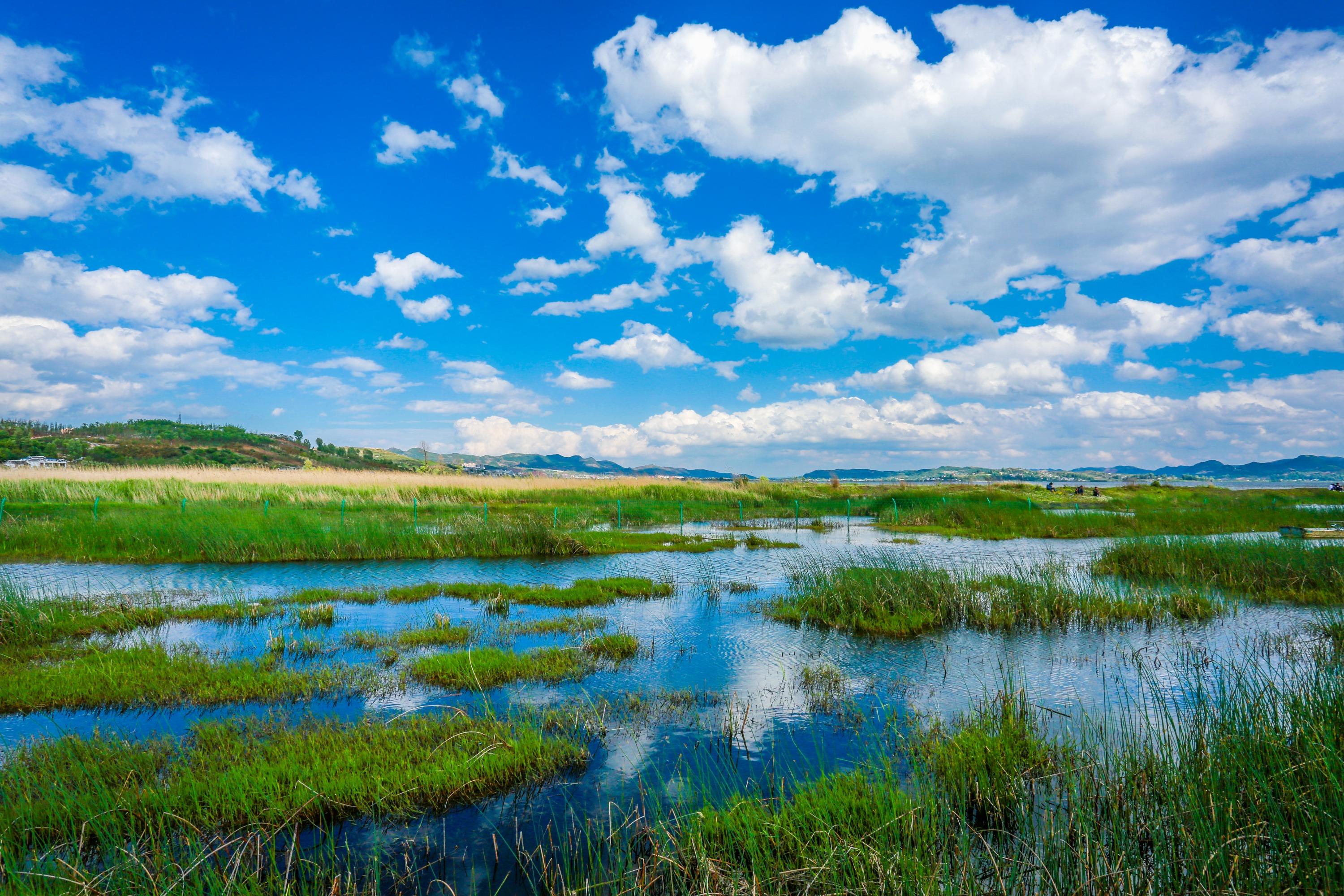 威宁|七夕节，来自“阳光威宁”凉爽浪漫的邀请......