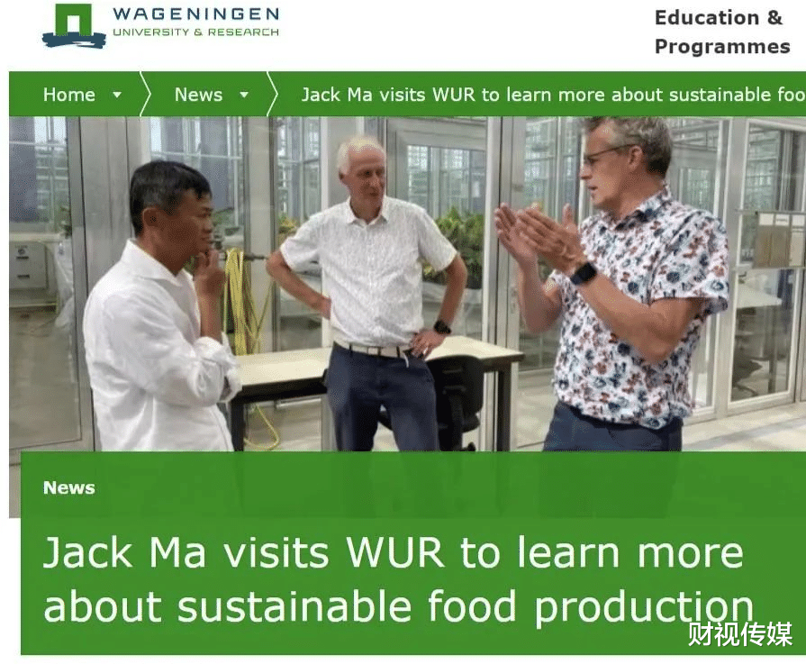 |刘强东回来了,马云会回来吗?