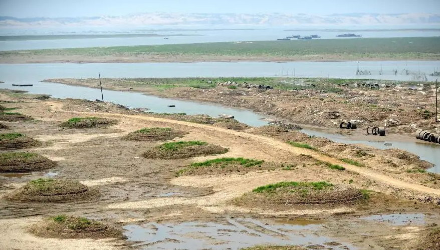 长江|长江有多渴? 七旬老人称从未见过如此旱情, 有关部门: 11月不会好转