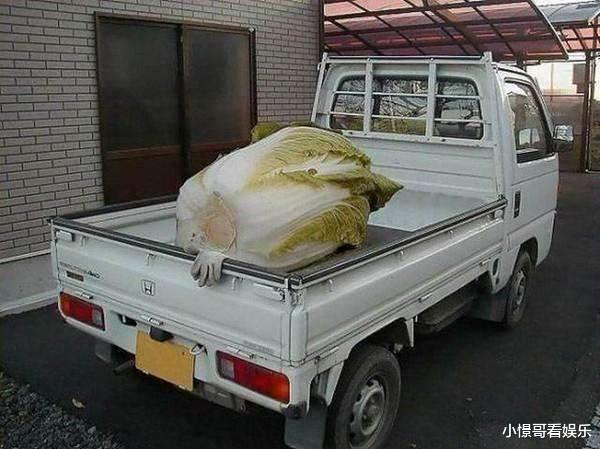 生理期 “如何委婉问女生是不是生理期？”哈哈哈评论有经验啊