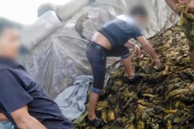 陈飞宇|老坛酸菜事件持续发酵，数万网友涌入汪涵微博评论区，扬言要封杀他