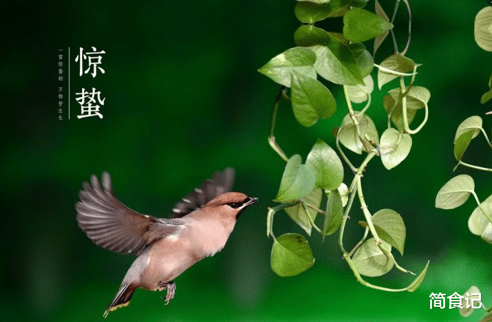 惊蛰,记得“食1味,吃2菜,饮3茶,4原则”,应季而食,顺利入春