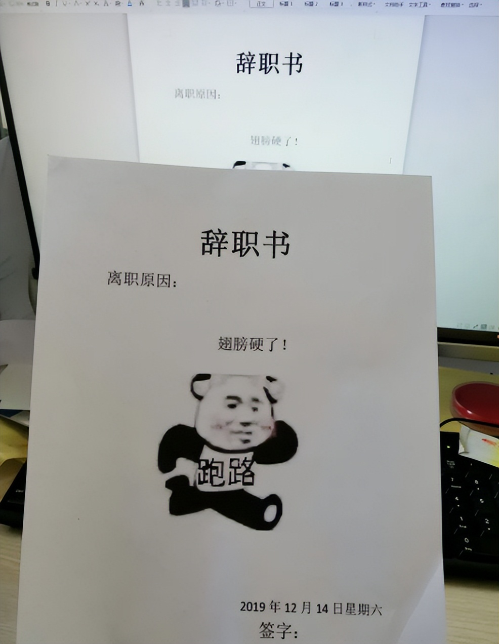 00后|我管你同意不同意，毕业生“傲娇”辞职信走红，就连理由都懒得编