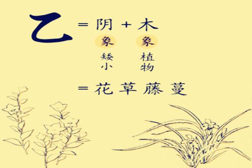 天官赐福|乙木虽柔，刲羊解牛