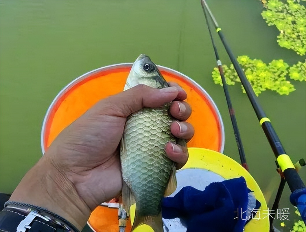 深水区|新手学野钓,该学习哪些事项?学会这几点助你快速成才
