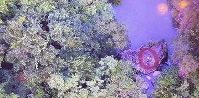 浙江省|邓刚都不敢这么玩!浙江仨男子钓鱼被困原始森林,无奈向警方求助