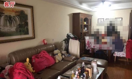 合肥|刷新了对合肥房价的认知!什么样的房子要4万多元/平方米?