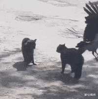 发型 事实证明，多帅的发型都弥补不了颜值的差距！太扎心....