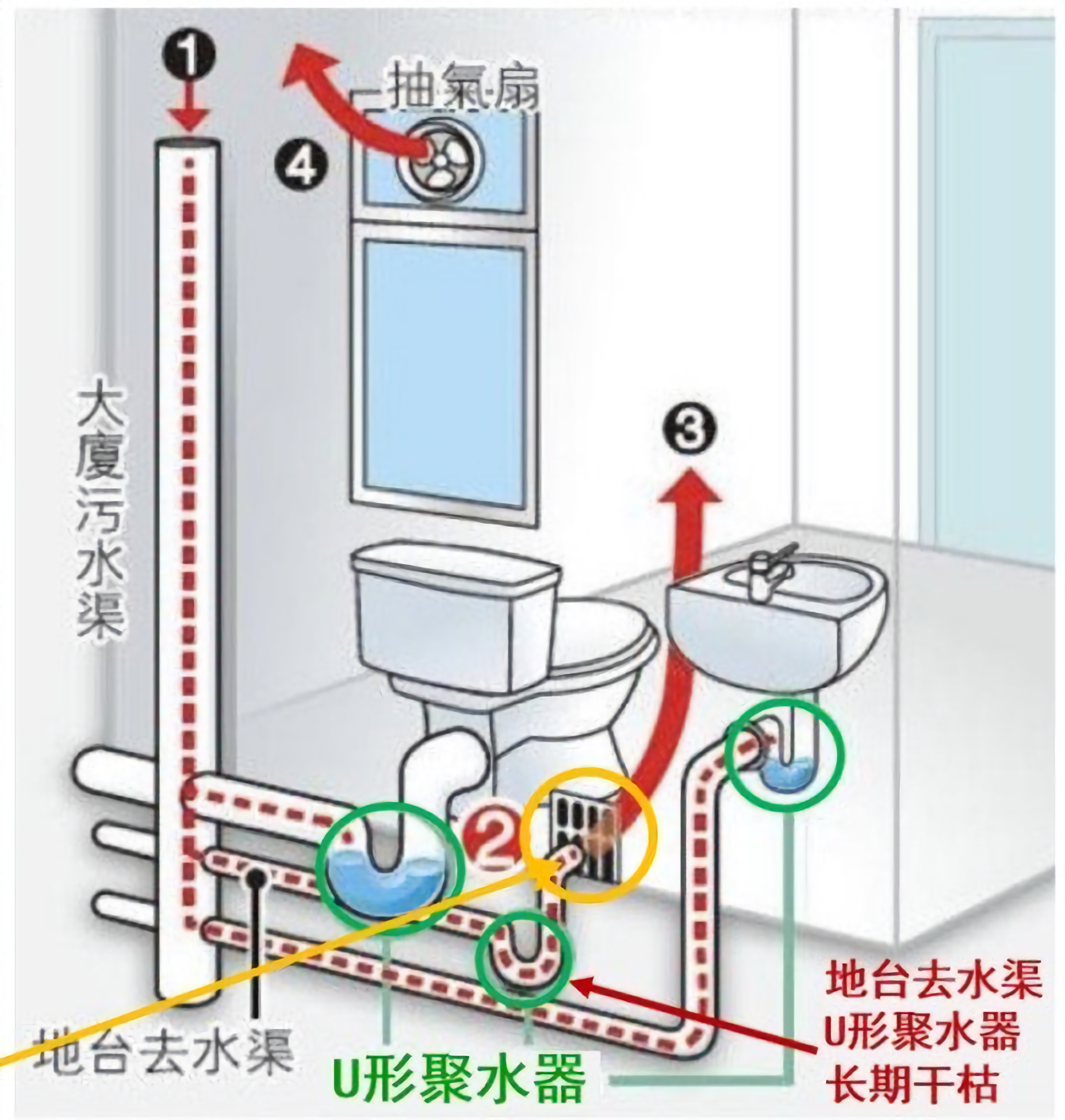 地漏|一位工作人员发现了疫情的地漏式传播方式