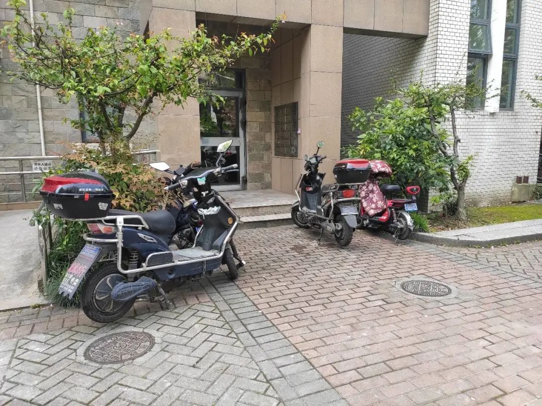 普陀|对口新普陀小学品质最好的小区之一，长风板块|中星海上名庭测评