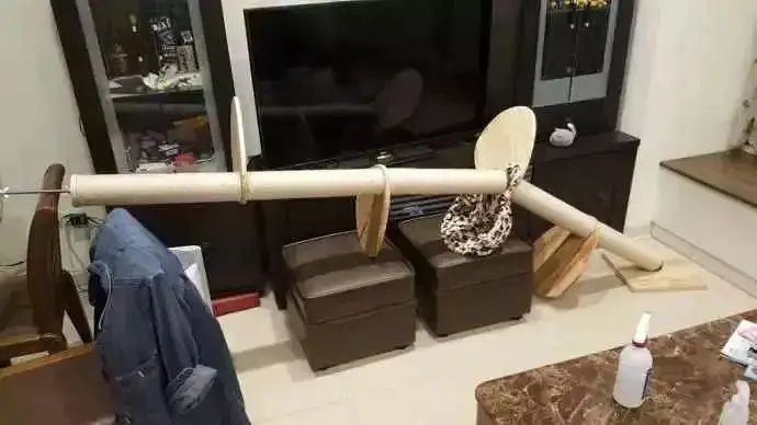 网友斥巨资购置了猫爬架，一开始猫很喜欢，没想到的是…