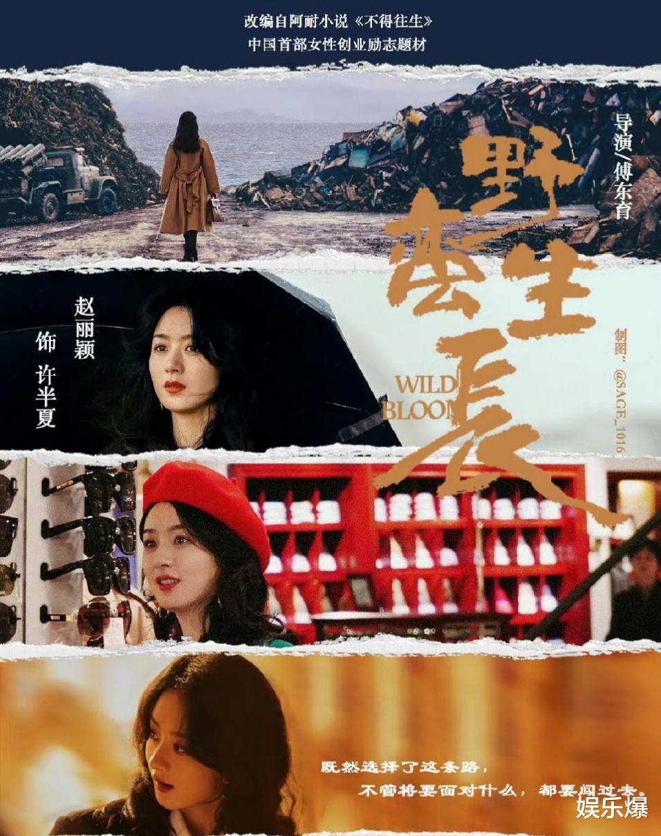 赵丽颖|赵丽颖《野蛮生长》获播放许可证，集数确定，播放时间却很尴尬