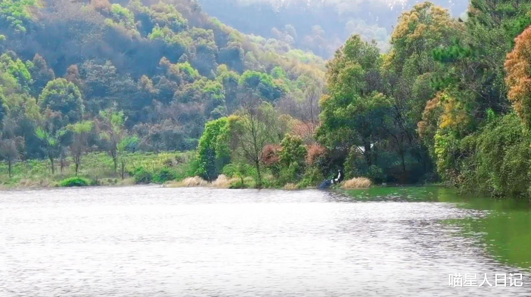 |游逛武汉郊区这座无名水库，盘山公路环绕在森林里，岸边有钓鱼人