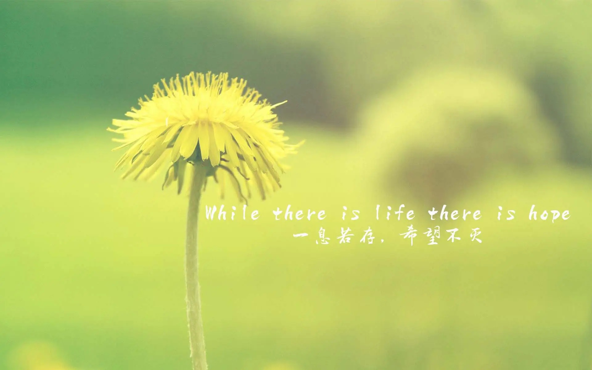 招生|专转本学生都想要考公办学校的原因