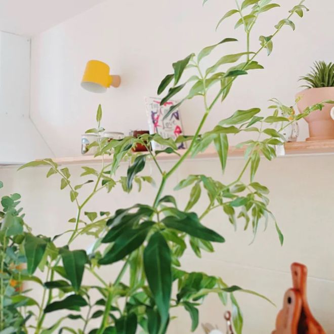 看了这个韩国太太的家,我学会了很多装修经验,解决许多生活痛点