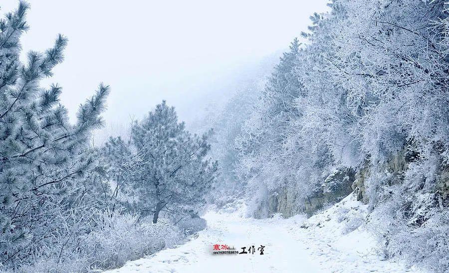 挂壁公路|一下雪就美成仙境的南太行，藏着世界最大冰雪圣诞树，快来过眼瘾??