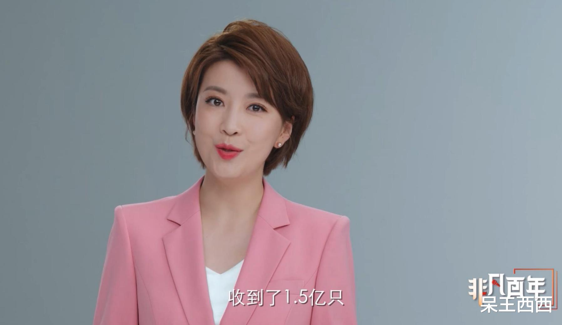 央视|央视国际频道主播出镜率调整,鲁健担任门面,多位新面孔被重用