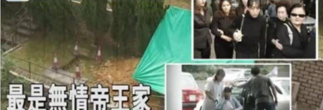 何超英|何超英：赌王“最美女儿”，曾身价上百亿，死后却连墓碑都没有