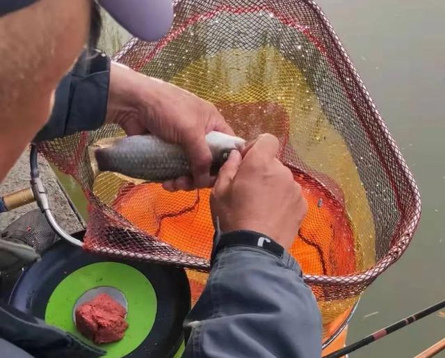 |通过钓鱼学会的5个技能！果然钓鱼人除了钓鱼不行，其他都行