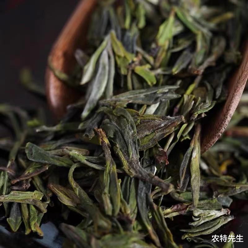 据说河南人不喝信阳毛尖,也不碰太白银毫,网友:那他们喝什么茶