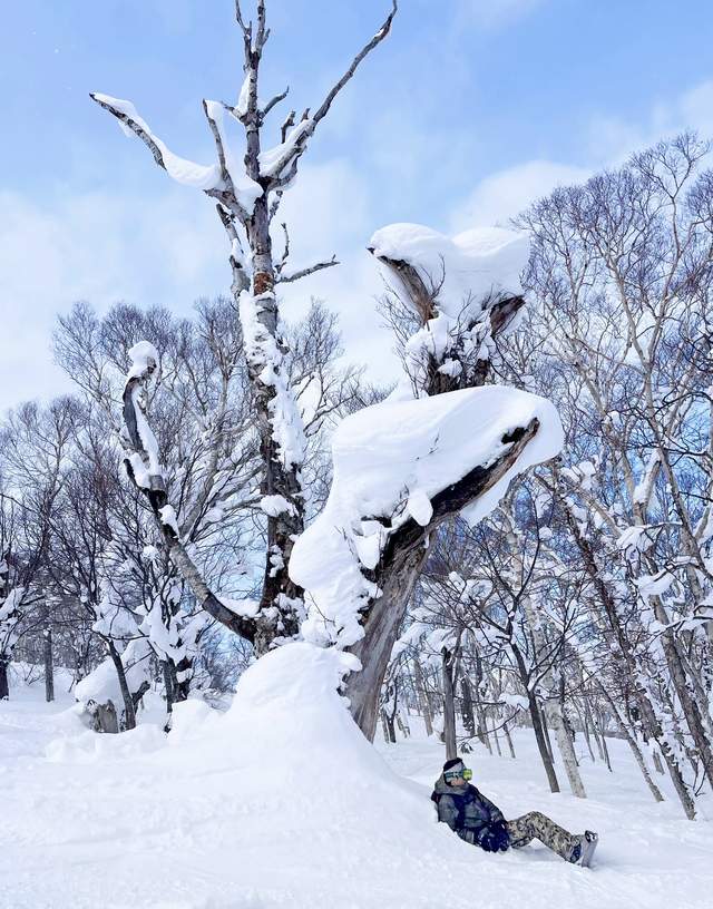 中国乒乓之绝地反击|谢霆锋和王菲一起过春节，雪地里开心拍照，两人恩爱如初令人羡慕