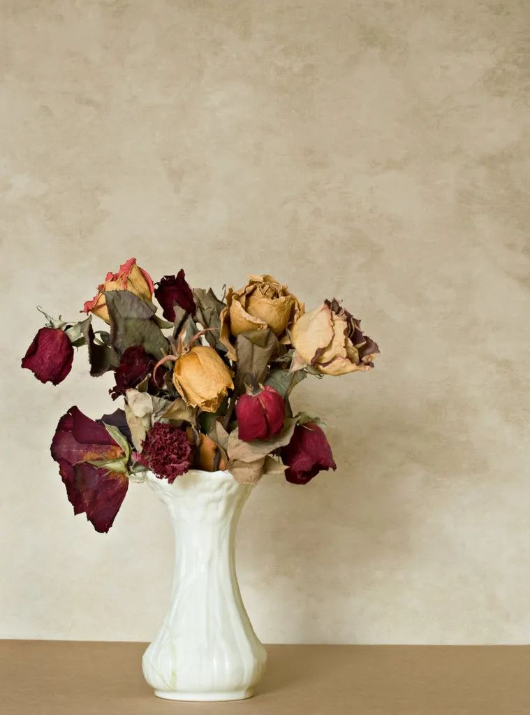 睡眠|春养肝,男女毁肝的8件事说到心窝里去了!