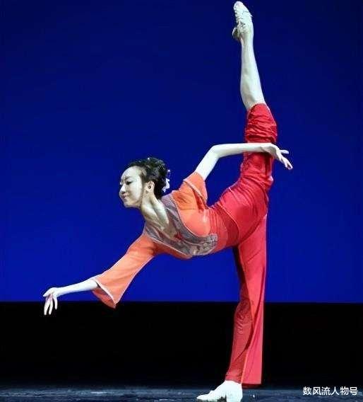 刘岩|“轮椅舞者”刘岩:北京奥运彩排中摔成瘫痪,让张艺谋愧疚一生!