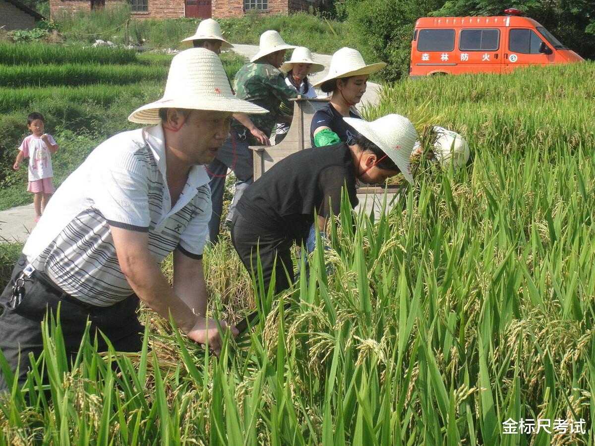 招聘|乡镇公务员陆续开启招聘，工资虽然不高，但3个优势很不错！