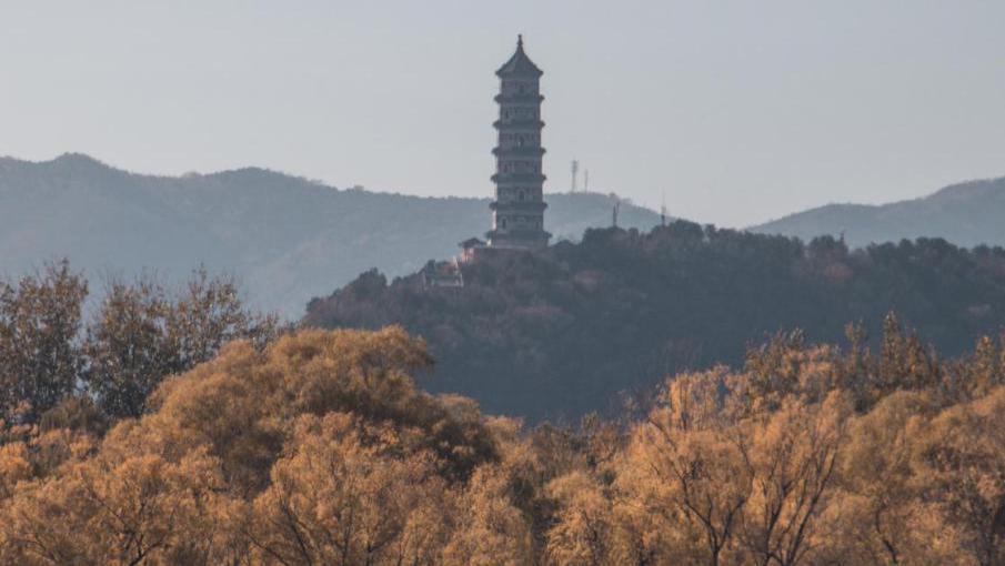 干货 | 教你学会拍摄金黄色的秋天