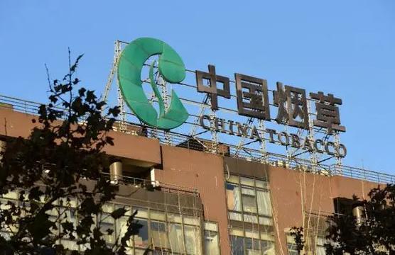 高考志愿|不因停工影响收入的4个职业，看完才知道，原来学历真的很有用