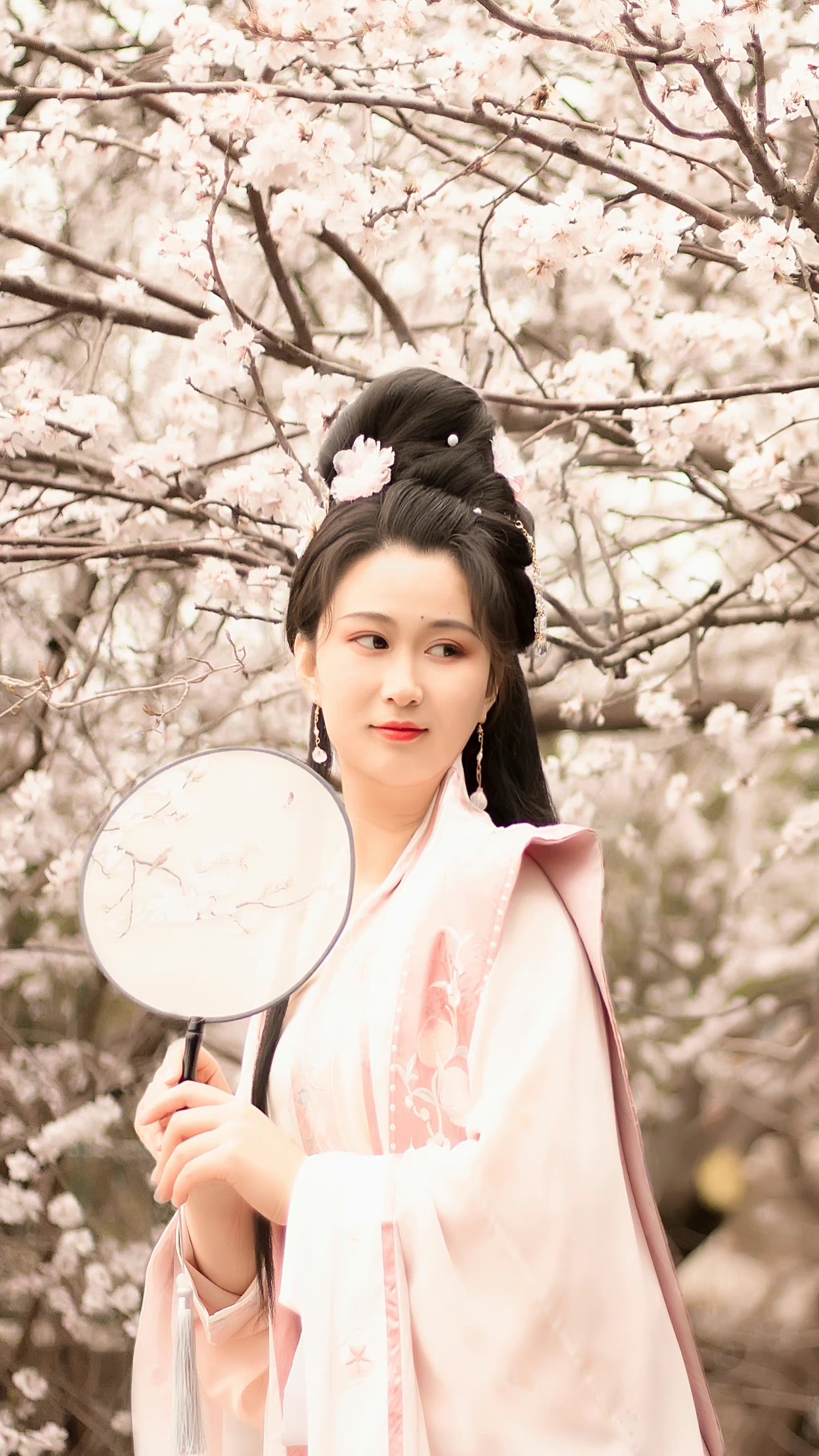 |那一场相遇里，我将桃色留在了江南