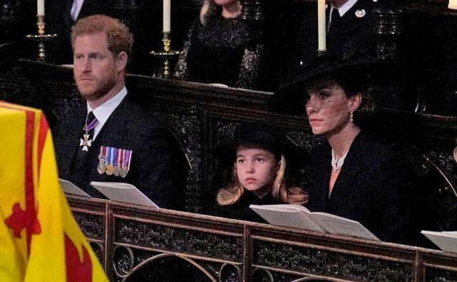 夏洛|夏洛特长大后得找工作？哈里是前车之鉴，国王不想孙女全职当公主