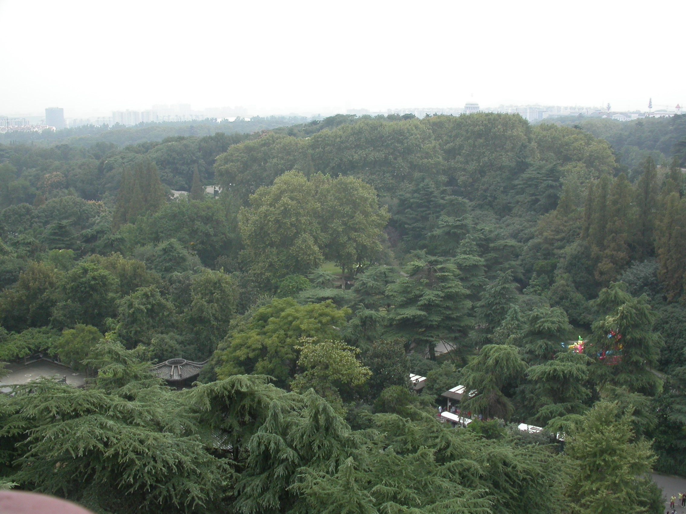 丹东|三番五次去丹东，去了还想去（３）