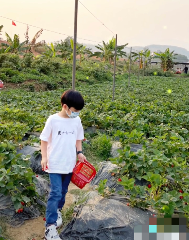 迟帅|41岁迟帅承认已有娃！曾与姚笛相恋7年被甩，儿子身高到爸爸腰部