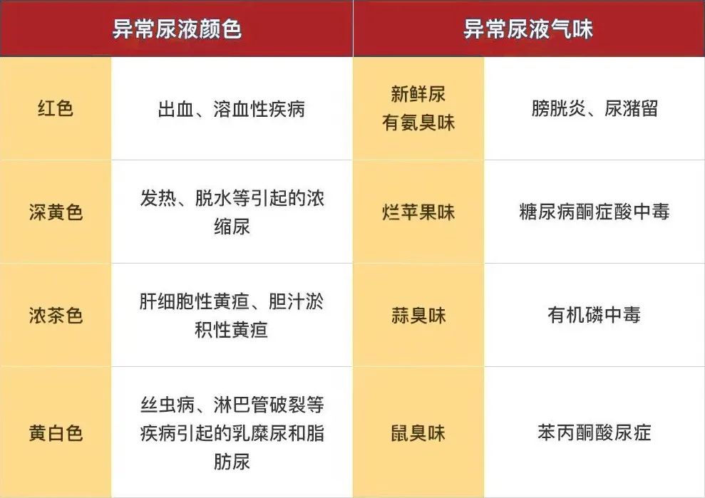 尿常规|尿常规报告透露的4个信号,这项不达标的多半肾不好