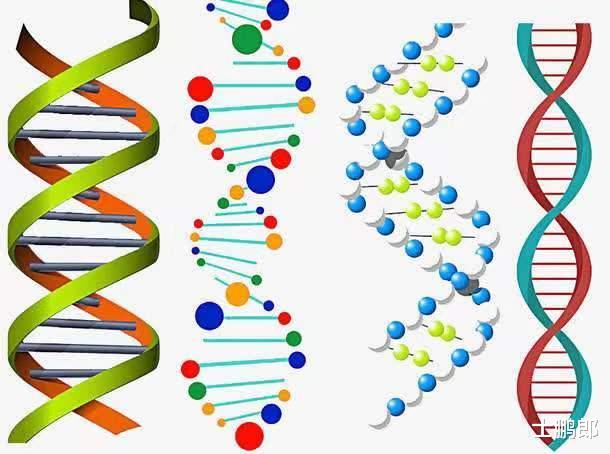 人究竟可以活多久?科学家:其实在出生之时一切就注定了