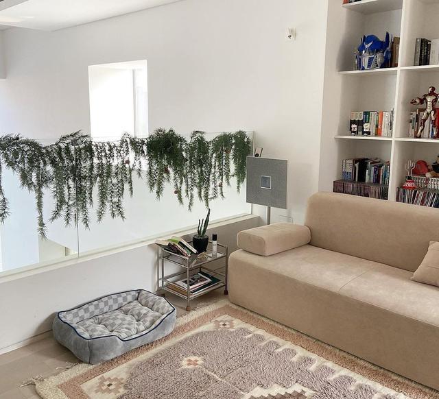 198的独栋别墅，全屋装修舒适清爽，只住一人一狗，让人羡慕不已