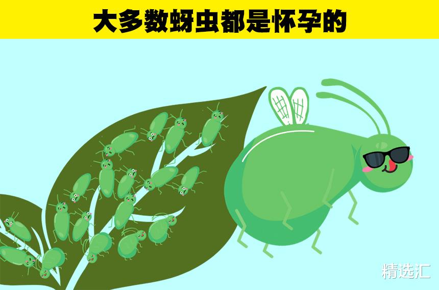 听起来很假,但科学证明是真实情况的8件事情